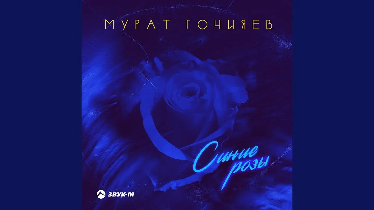Темно синие розы. Я просила синих роз кто поет. Черно синие розы. Синие розы гмо. Я просила синих роз кто поет.