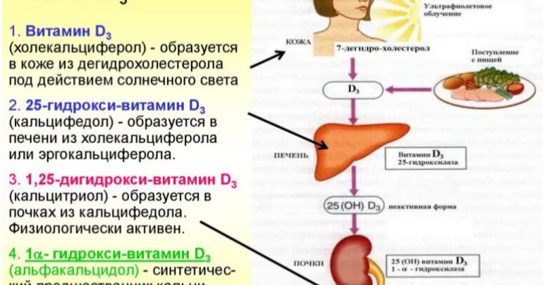 Ферритин витамин д. Витамин д норма в крови у женщин по возрасту. Витамин днормы у женщин. Витамин д норма у женщин по возрасту таблица.