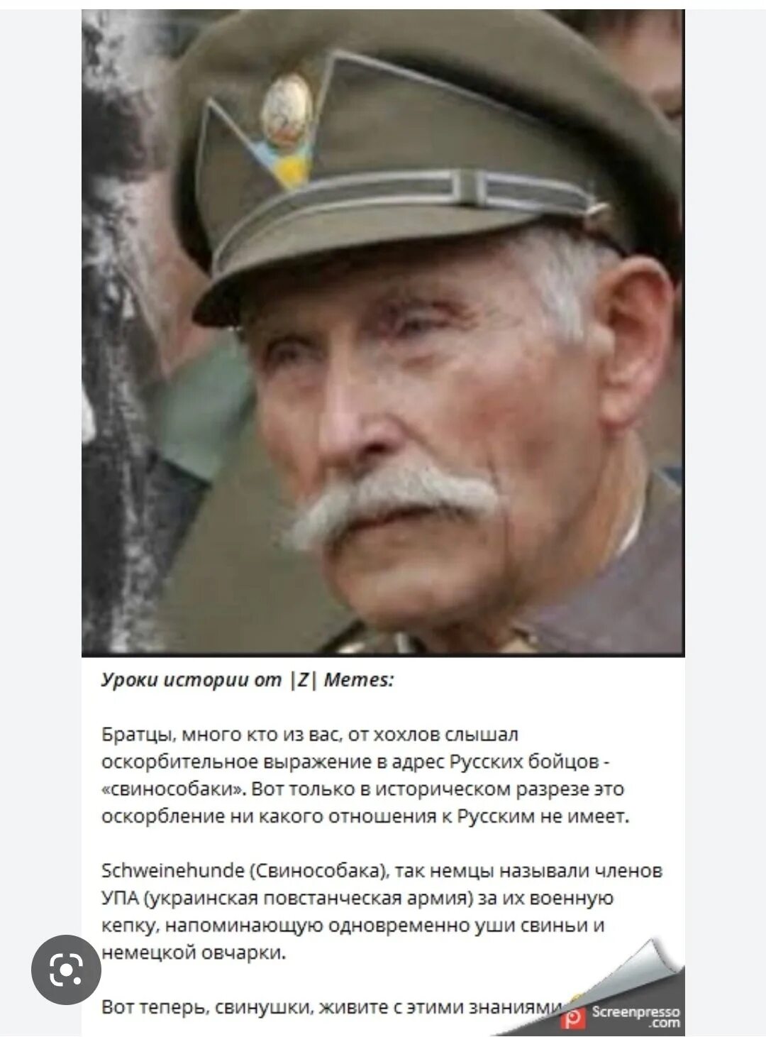 Свинособака немцы назвали. Свинособаки упа. Свинособаки бандеровца шапка. Кепка бандеровца. Свинособака немцы назвали.