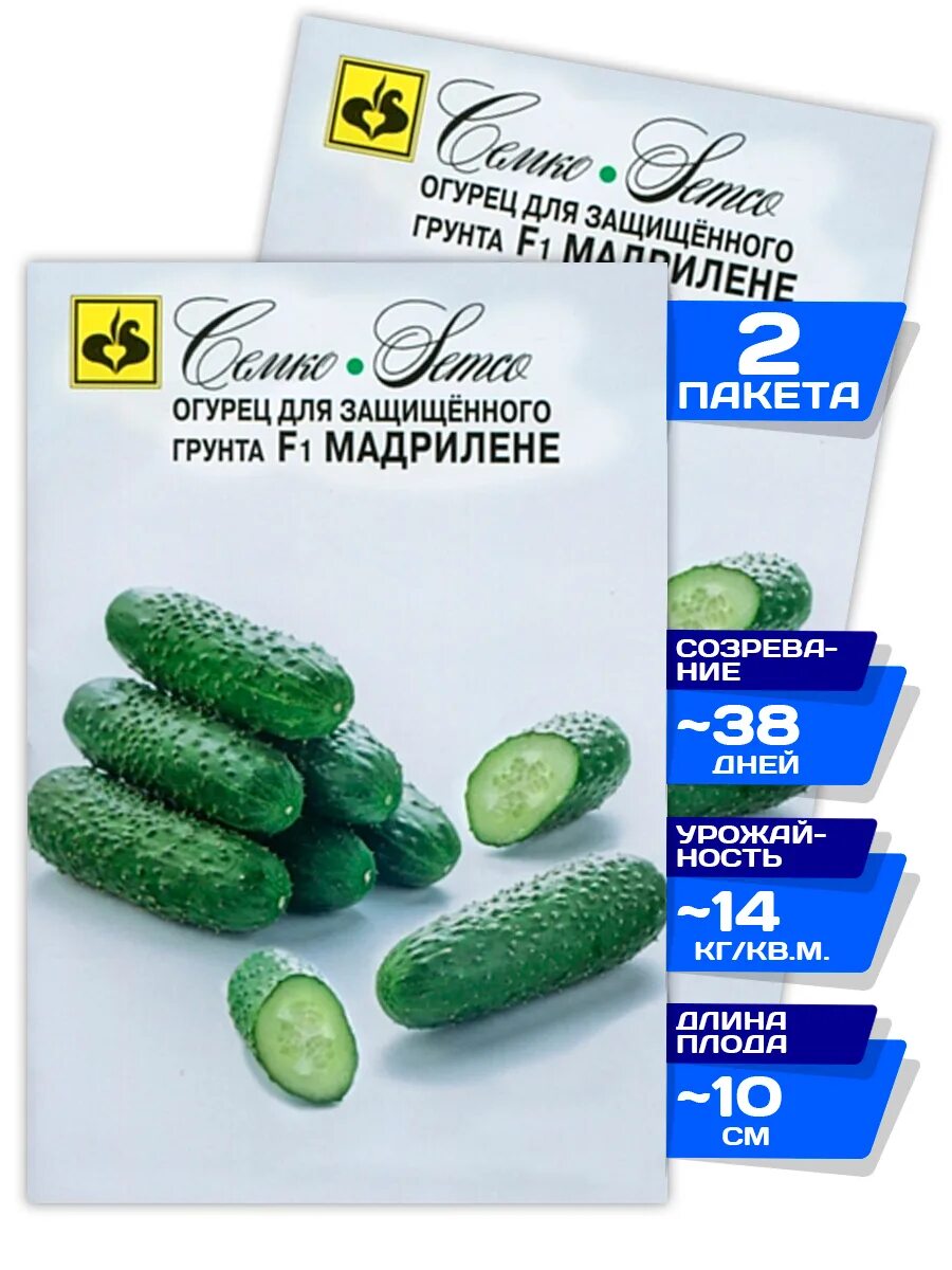 Семена огурцов мадрилен. Сорт огурца мадрилене. Семена огурцов мадрилен. Огурец f1 мадрилене. Огурец мадрилене семко.