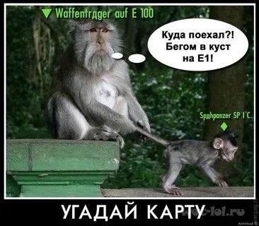 Вот те и на