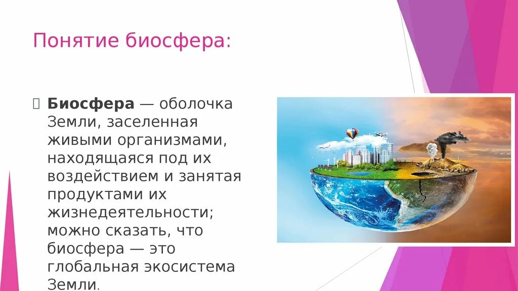 Больше всего заселена живыми организмами. Понятие Биосфера. Концепции биосферы. Влияние урбанизации на биосферу. Что влияет на урбанизацию биосферы.