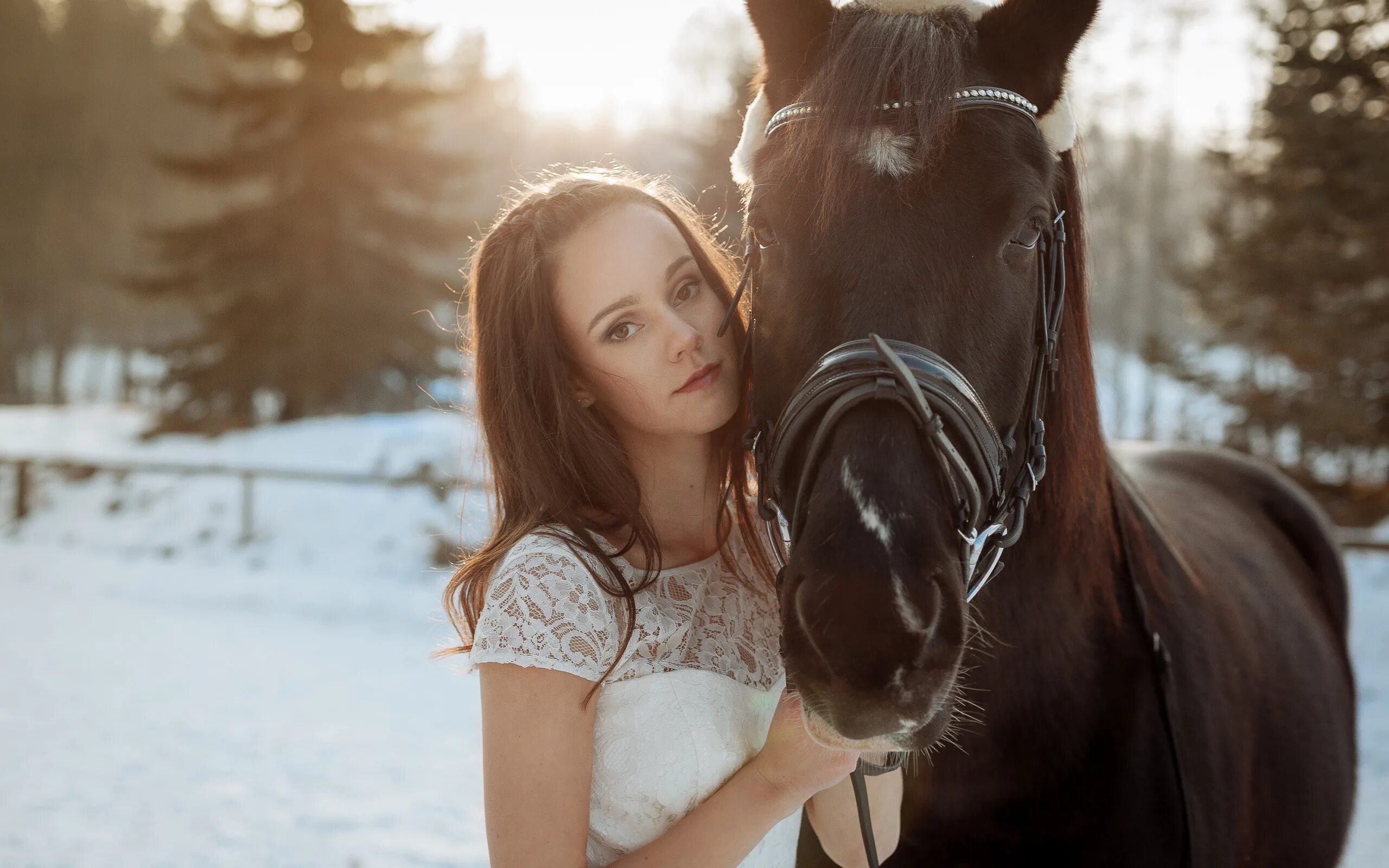 Девушка лошадь клип. Фотосессия с лошадьми. Красивые девушки и кони. Девочка на лошади. Девушка с лошадью.