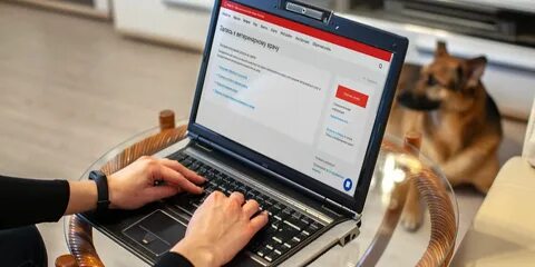 Запись к ветеринару через госуслуги