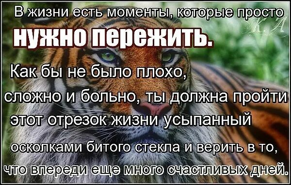 Это нужно пережить. Всё в жизни нужно пережить. Есть моменты которые нужно пережить. В жизни есть моменты которые нужно пережить. Незачем думать о том чего нельзя исправить