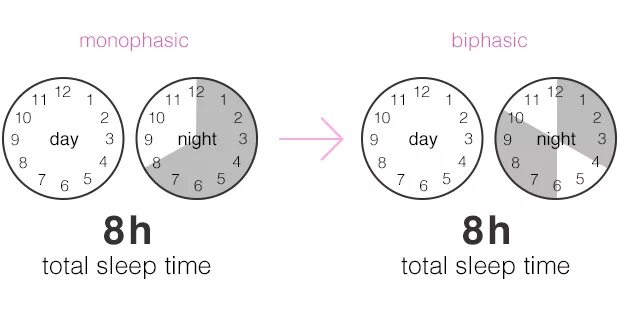 Как высыпаться за короткое. Полифазный сон Тесла. Бифазный цикл сна. Схемы полифазного сна. Режимы полифазного сна.