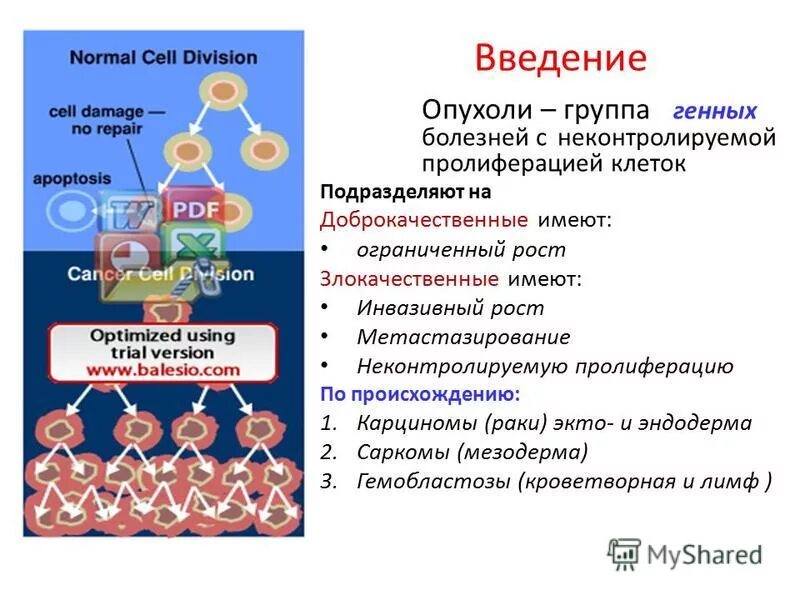 Выраженная пролиферация клеток. Пролиферация раковых клеток. пролиферация клеток опухоли. инвазия и метастазирование биохимия. пролиферация стволовых клеток.