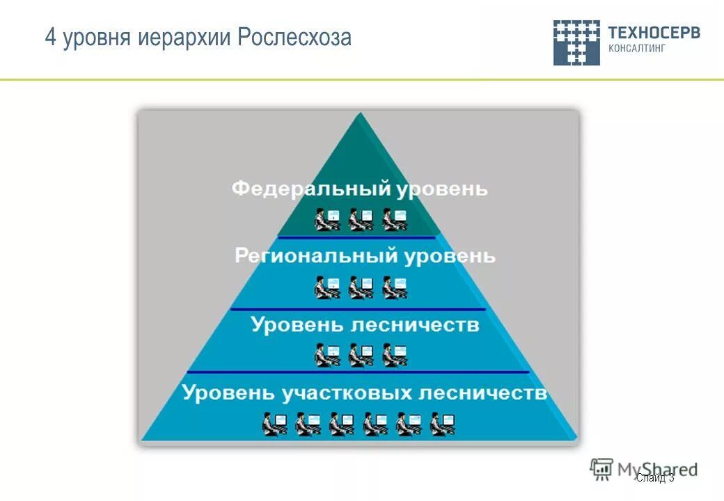 иерархия уровней деятельности