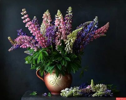 Стоят ли люпины в вазе