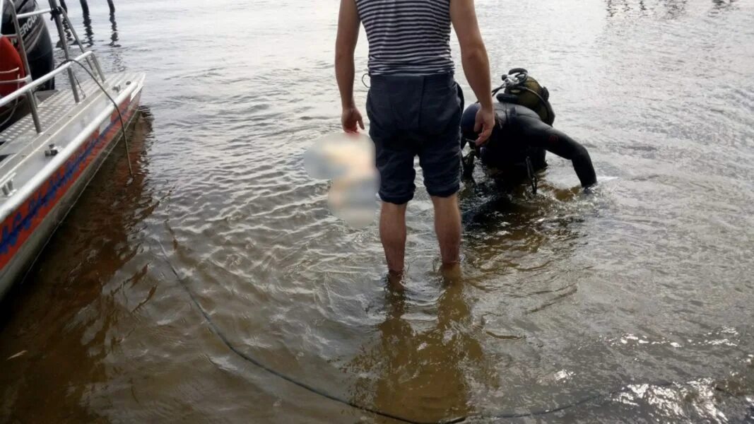 Утонул в волге. Водолазы извлекли тело утонувшего юноши Саратов. Трещиха Саратов Волга. Трупы утопленников в Волге.