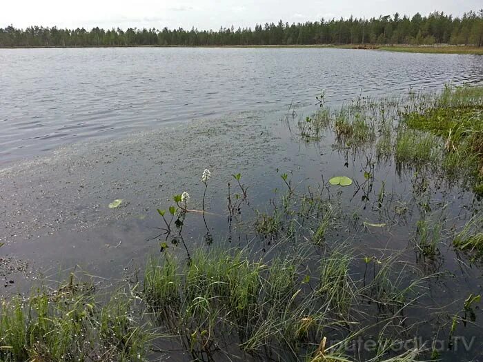 Озеро маян рыбалка. Озеро Куракли Маян. Куракли Маян озеро в Челябинской области. Куракли Маян озеро рыбалка. Майское озеро.