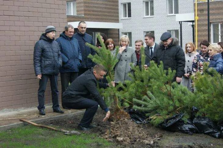 Хвойная 33. Прокуратура Брянской области Брянск здание. Алексеевская межрайонная прокуратура сажает деревья. Посадка деревьев прокуратура Псков. Дятьковская прокуратура Брянской области.