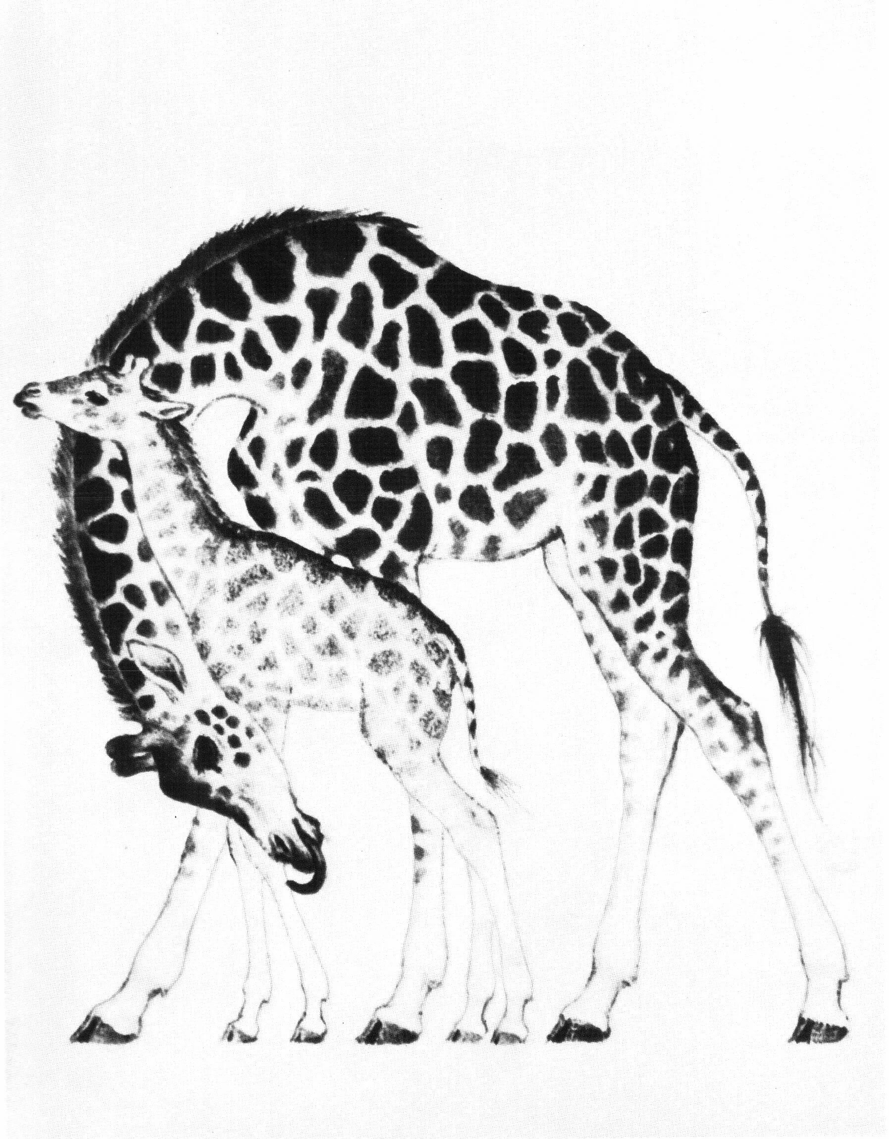 Графика животные. Стилизация животных в цвете. Изображение животного графика. Стилизованные рисунки. Графическая стилизация животных.