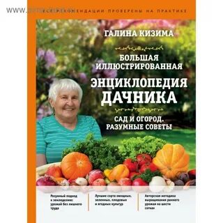 Разумные советы