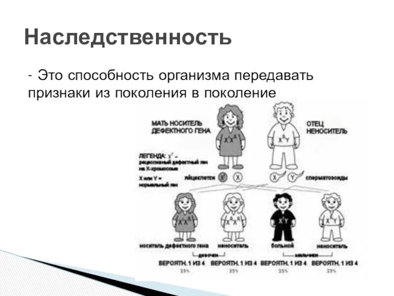 Способность организмов передавать свои признаки поколениям. Наследственность. Наследственность презентация. Генетическое наследование. Наследственность это в биологии.