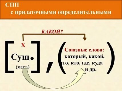 Найди сложноподчиненные предложения с придаточным определительным
