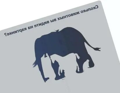 Сколько животных получили имена благодаря активному гражданину