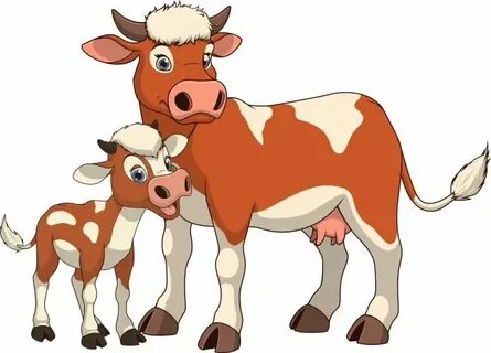 Сиырдың суреті