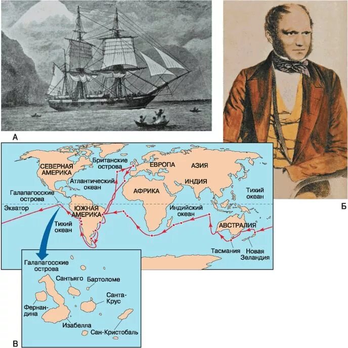 Кругосветное путешествие Чарльза Дарвина. Путешествие Чарльза Дарвина на корабле Бигль маршрут. Ч дарвин кругосветное путешествие