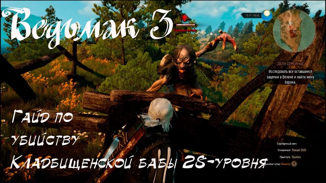 Кладбищенский ведьмак. Кладбищенский ведьмак. Ведьмак 3: дикая охота - кровь и вино. Кладбище китов ведьмак 3. Туссент кладбище пер лашез.