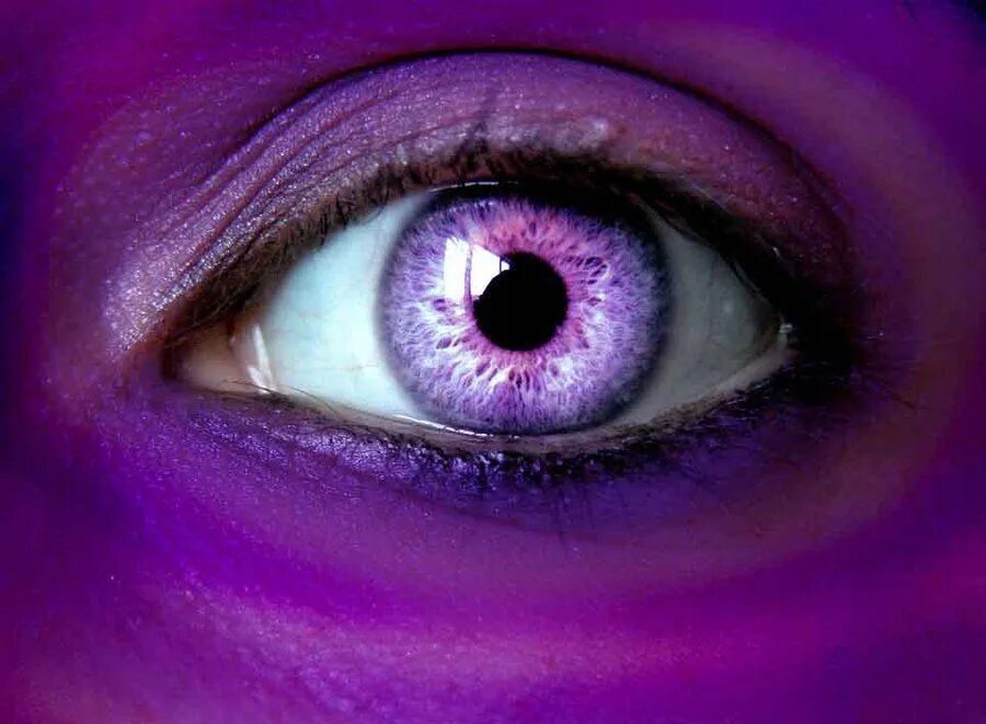 purple eye Eye art, Butterfly eyes, Eyes artwork