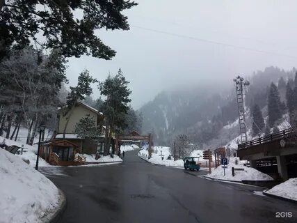 Oi qaragai