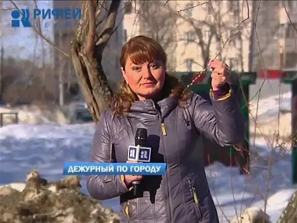 Дежурный по городу рифей пермь последний выпуск. Дежурный по городу калининград. Дежурный по городу. Водоватова пермь. Химки дежурный по городу жкх.
