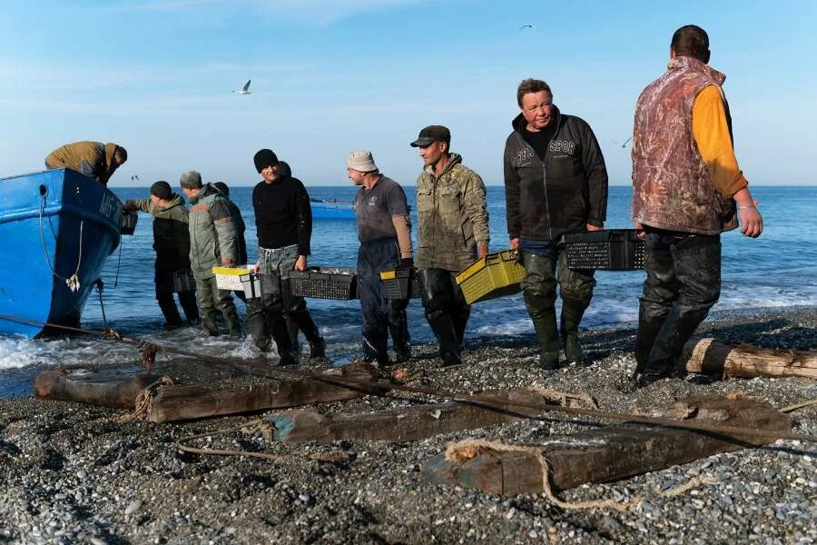 Сегодня рыбачить. Греция рыбаки. Разгрузка улова. Миграционные дороги Черноморской барабули.