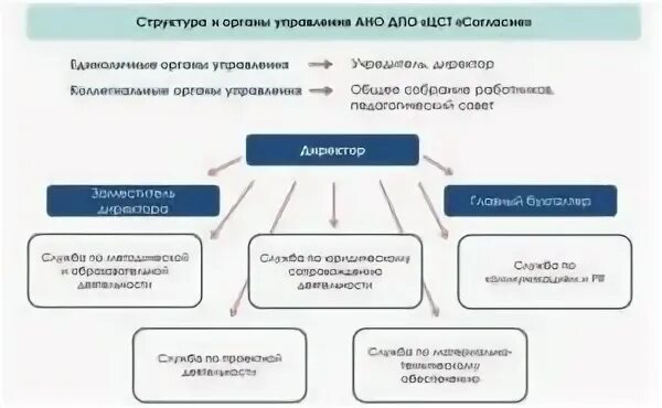 Организация управления автономной некоммерческой организации. Структура органов управления АНО. Органы управления автономной некоммерческой организации. Структура автономной некоммерческой организации. Автономная некоммерческая организация структура органов.