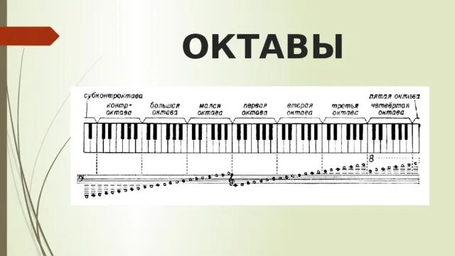 Октава высота. Музыкальные октавы. Расположение октав. Октавы пианино 5 октав. Ноты всех октав.