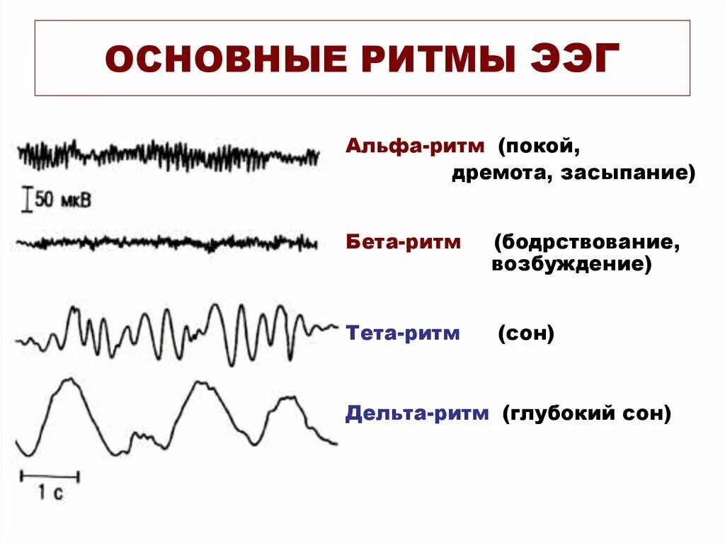 Изменения биоэлектрической активности мозга. Ритмы ЭЭГ физиология. Биоэлектрическая активность головного мозга. Ритмы ЭЭГ.. Альфа ритм ЭЭГ. Частотный диапазон Альфа ритма на ЭЭГ.