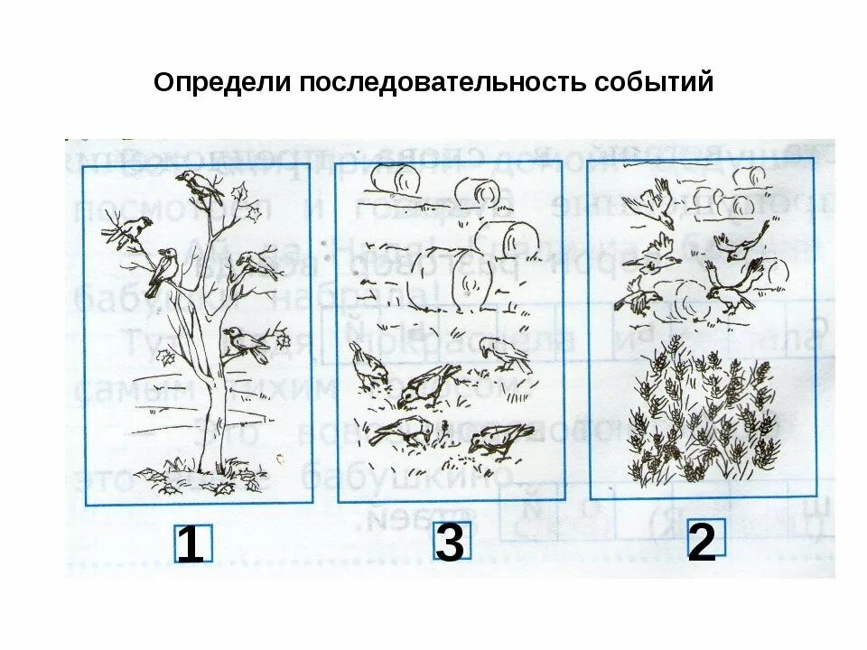 Установи последовательность 1 класс. Задания на последовательность событий. Методика последовательности. Методика Бернштейна последовательность событий для дошкольников. Установление последовательности событий методика.