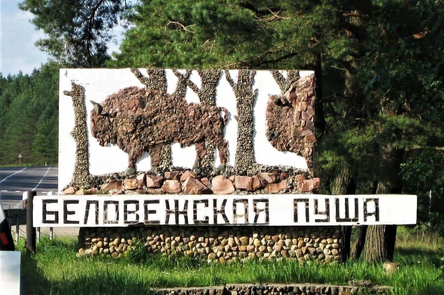 Экскурсия в беловежскую пущу из минска