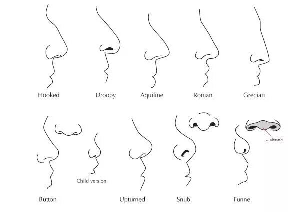 The origin of different races: The scientific reason why our facial features (no