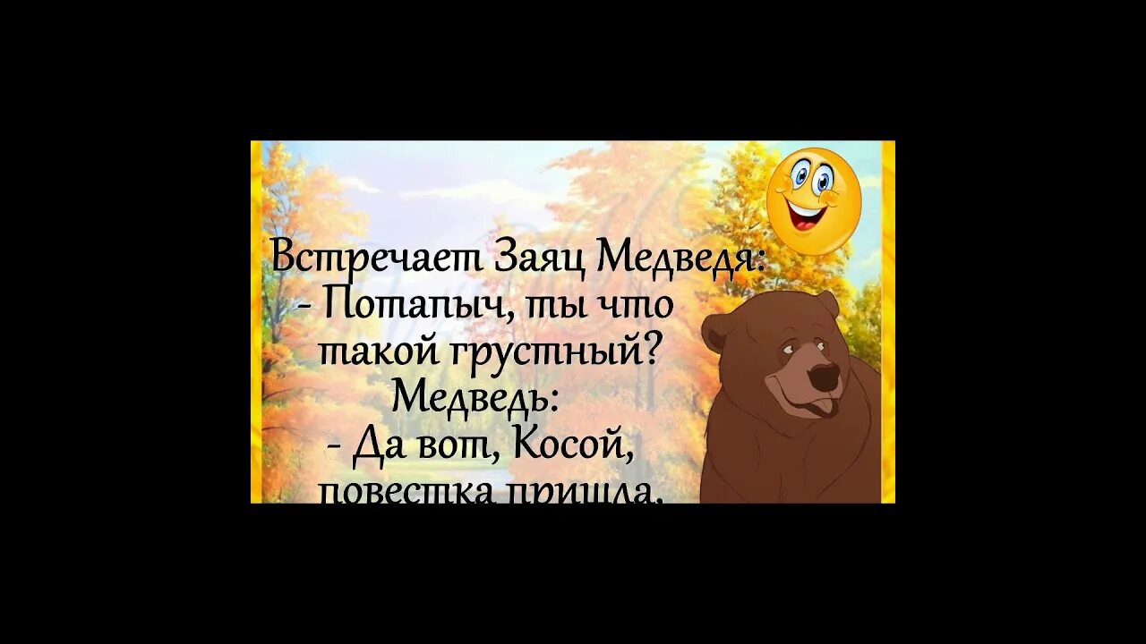 Встречает заяц медведя. Анекдот про зайца и медведя. анекдот про зайца волка и медведя. анекдот про медведя зайца и волка вертолет. анекдот про зайца и медведя про зубы.