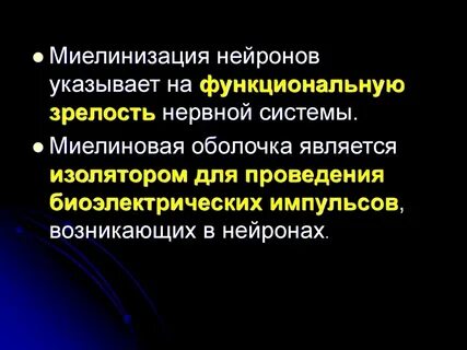 Отсутствовать нервный