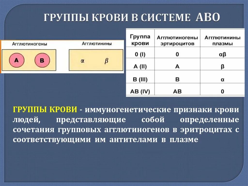 Группа крови это. Группа крови по системе АВО таблица. Агглютиногены второй группы крови системы АВО. Классификация групп крови по системе АВО. Механизм исследования групп крови системы АВО.