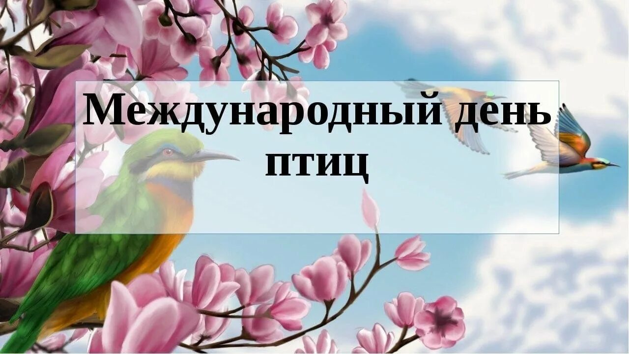 Когда день птиц в 2024 году. День птиц. Международный день птиц. Международный день Пти. Междунаровныйденьптиц.