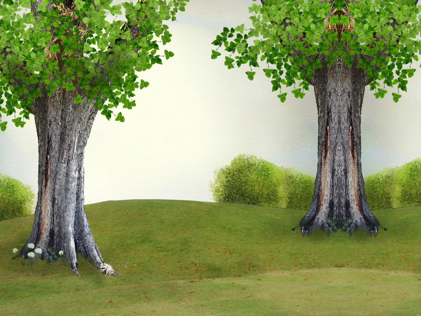 Tree course