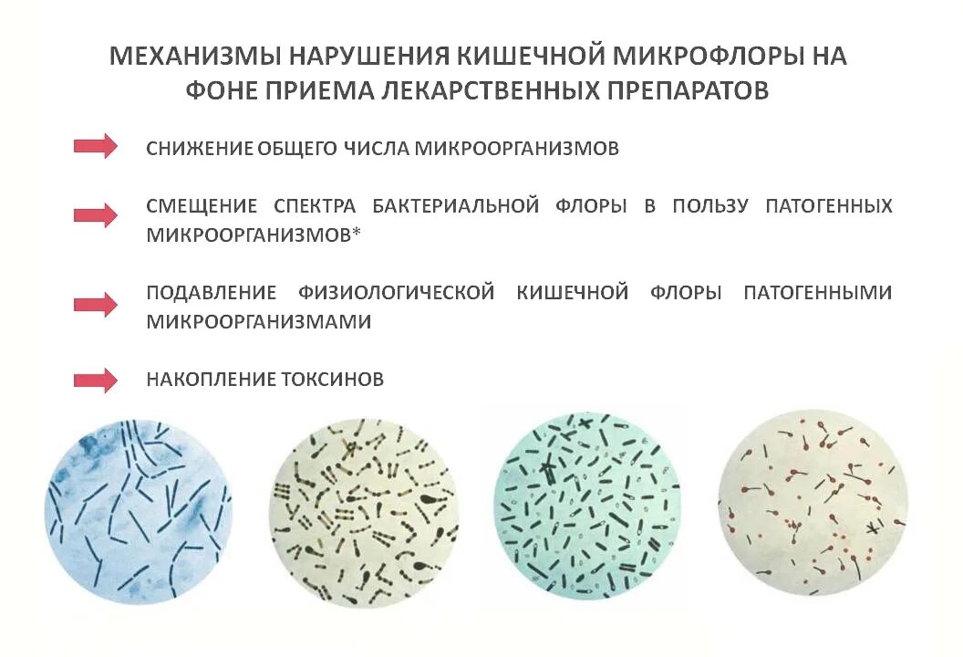 С антибиотиками для микрофлоры. Влияние антибиотиков на микрофлору кишечника. Микрофлора кишечника. Бактерии и антибиотики.