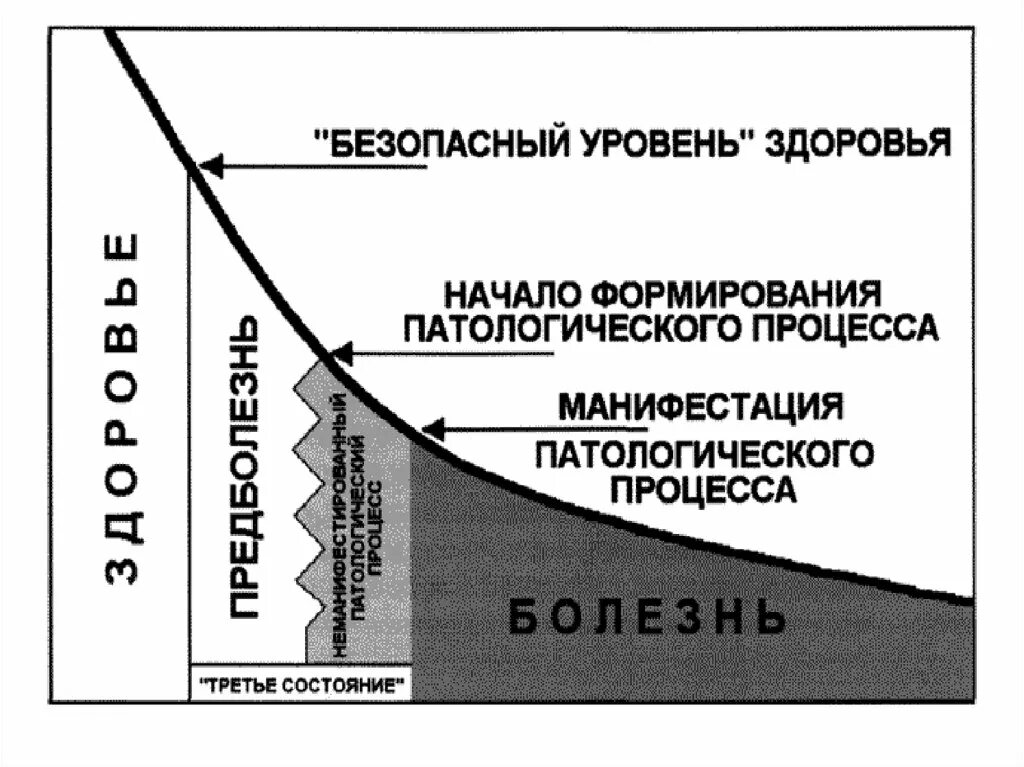 Третье состояние организма это. Уровни состояния здоровья. Безопасный уровень здоровья это. График здоровья. Максимальный уровень здоровья