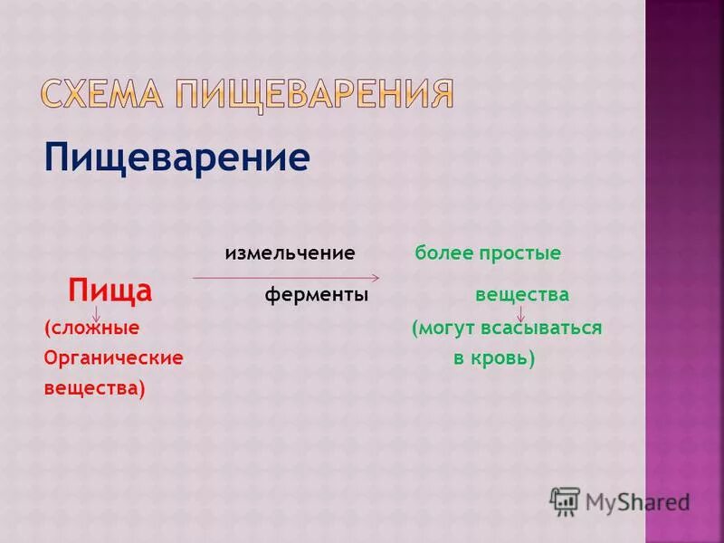 схема процесса пищеварения. этапы процесса питания у животных. в результате пищеварения из менее сложных органических. в результате пищеварения из менее сложных органических. процесс переваривания пищи в организме.