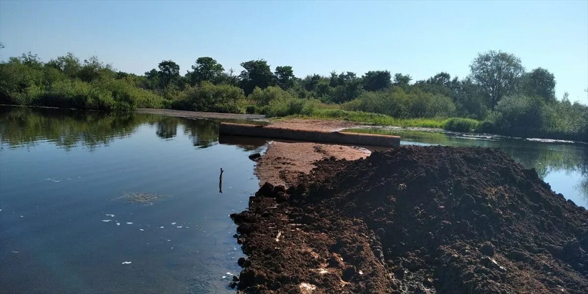 Река гнилая. Загрязнение реки исеть в екатеринбурге. Мост через реку танып. Мост через реку танып. Тюмень воронинский мост.