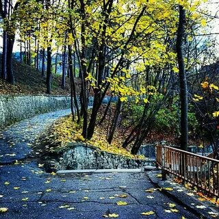 Погода в кисловодске в ноябре