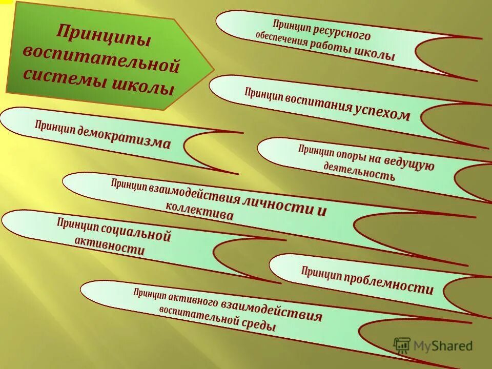 принцип дифференциации воспитания. принципы воспитательной системы. современные принципы воспитания в педагогике. педагогика общей заботы как воспитательная система. принципы воспитательной системы.