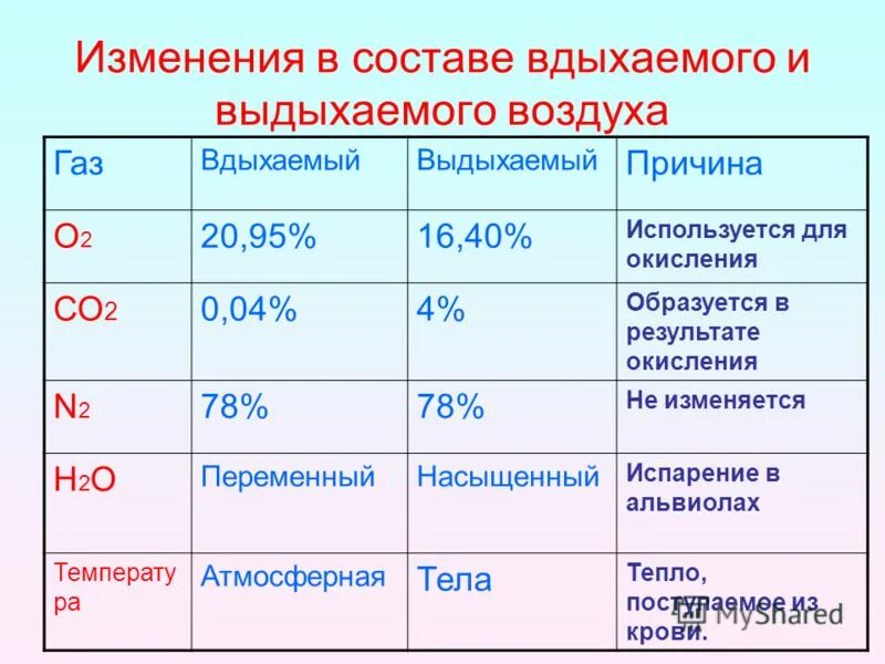 Изменение состава вдыхаемого и выдыхаемого воздуха таблица. Состав выдыхаемого воздуха. Состав вдыхаемого атмосферного воздуха. Вдыхаемый воздух и выдыхаемый воздух состав.