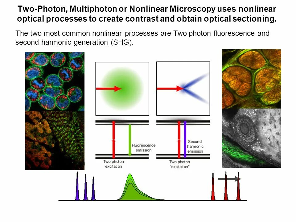 Nonlinear optical