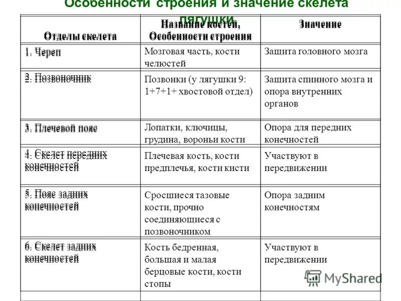 Особенности строения скелета млекопитающих функции. Отделы скелета лягушки таблица. Внутреннее строение пресмыкающихся скелет отделы строение функции. Отделы скелета земноводных 7 класс. Особенности строения скелета земноводных отделы скелета.