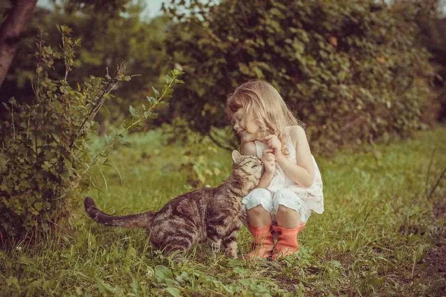 Кот кидс. Кошка девочка. девочка с котятами. маленькая девочка с кошкой. фотосессия котят.