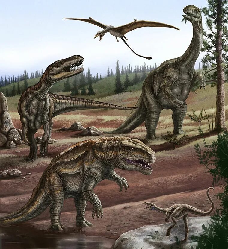 Фауна мезозоя. Юрский период мезозойской эры. Мезозойская эра период триас. Фауна мезозоя. Зденек буриан динозавры.